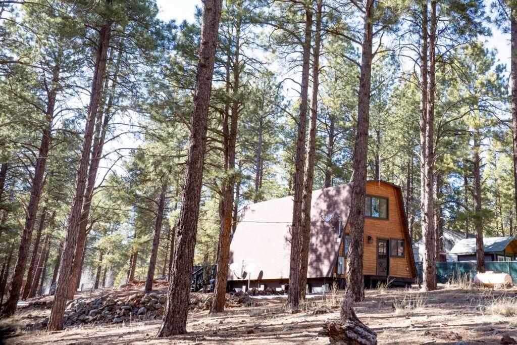 Grand Canyon Cabin! One Hour And 10 Minutes To The South Entrance! Вільямс Екстер'єр фото