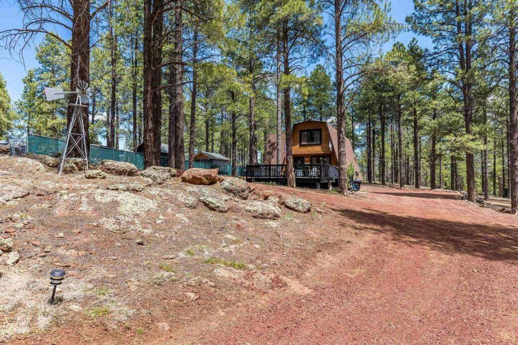 Grand Canyon Cabin! One Hour And 10 Minutes To The South Entrance! Вільямс Екстер'єр фото