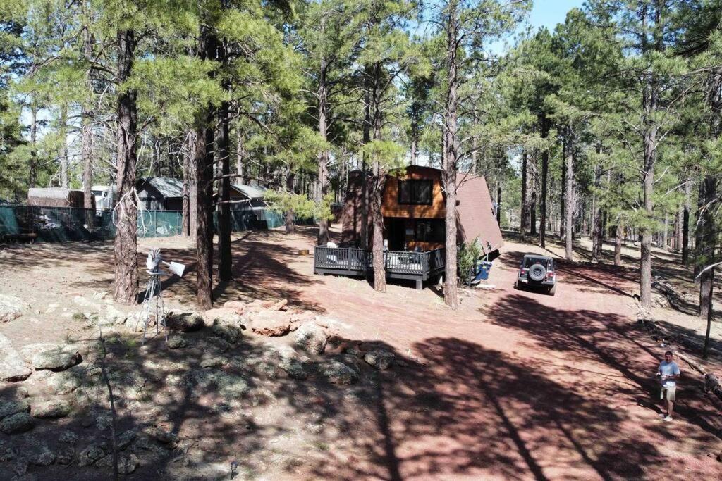 Grand Canyon Cabin! One Hour And 10 Minutes To The South Entrance! Вільямс Екстер'єр фото