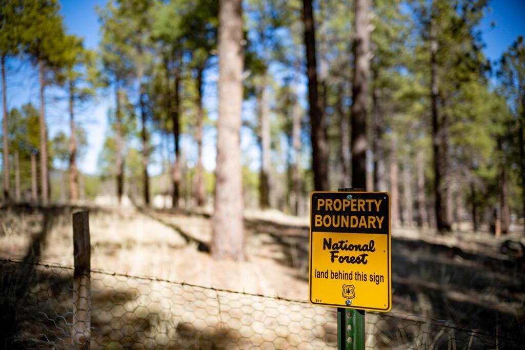 Grand Canyon Cabin! One Hour And 10 Minutes To The South Entrance! Вільямс Екстер'єр фото